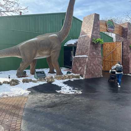dinos at the volo (2/3)