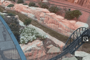 garden trains at epcot