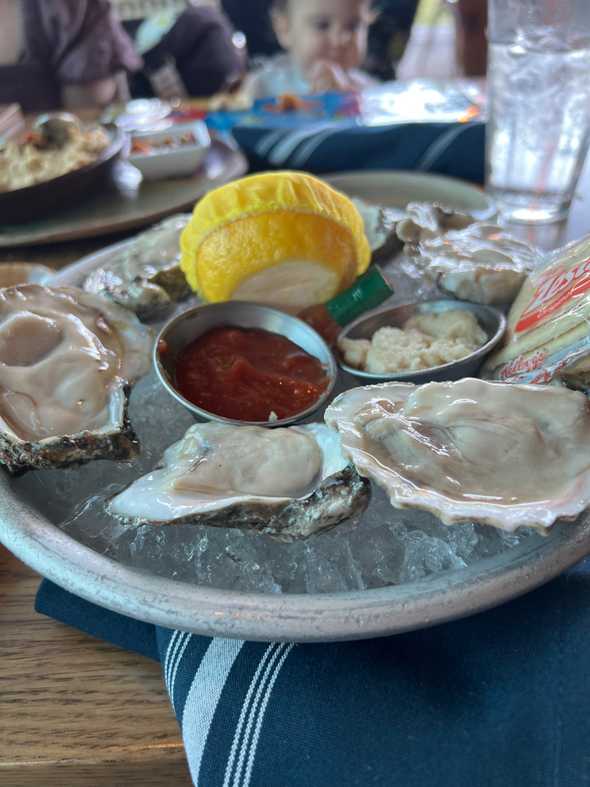 oysters