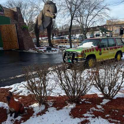 dinos at the volo