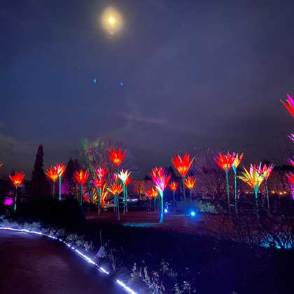 botanical gardens - chicago il